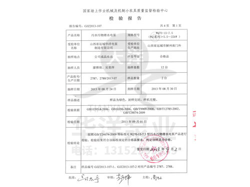 污水污物潛水電泵檢驗報告